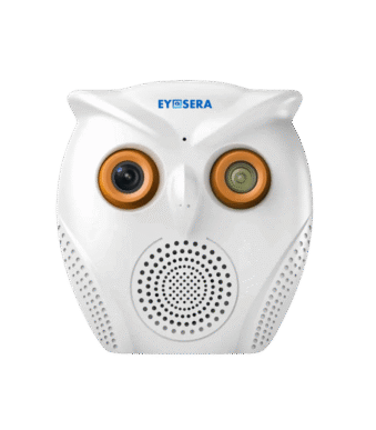 ES-DD-SPK-OWL-ICC-01